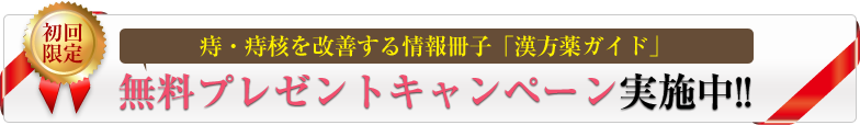 痔・痔核を改善する情報冊子「漢方薬ガイド」