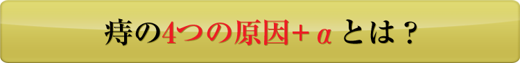 痔の4つの原因+αとは？