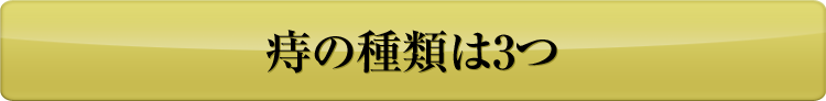 痔の種類は3つ 